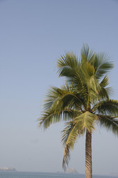 Similar image 8097416