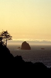 Similar image 8097424