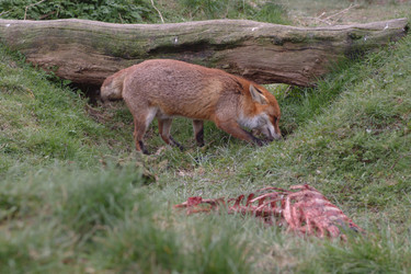 Similar image 8097436