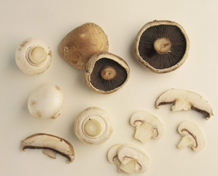 Similar image 8097438