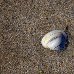 Similar image 8097441