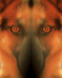 Similar image 8097451