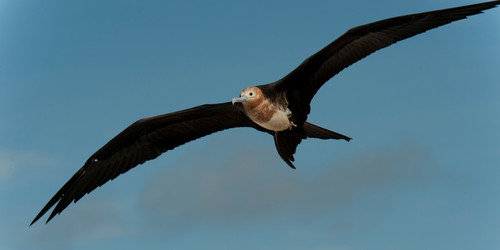 Similar image 8097454