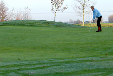 Similar image 8097456