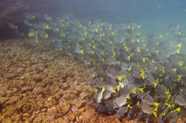 Similar image 8097463