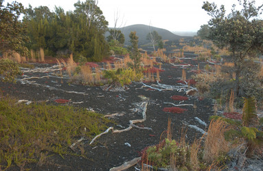 Similar image 8097472