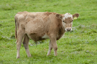 Similar image 8097476