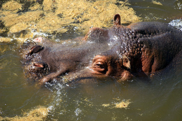 Similar image 8097484