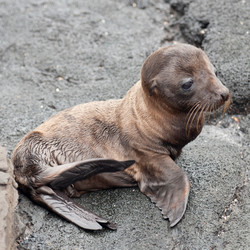 Similar image 8097485