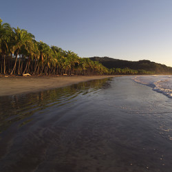 Similar image 8097499