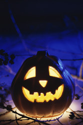 Similar image 8097501