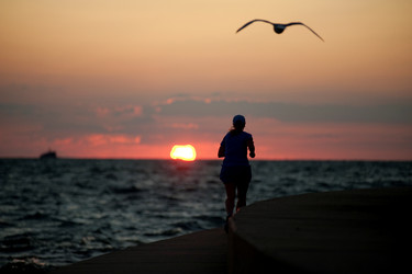 Similar image 8097518