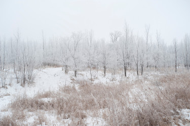 Similar image 8097522