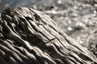 Similar image 8097526