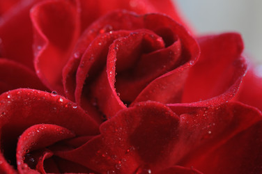 Similar image 8097538