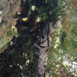 Similar image 8097539