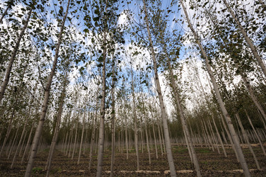 Similar image 8097561