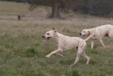 Similar image 8097564