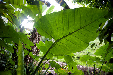 Similar image 8097566