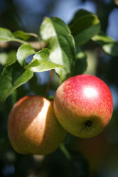 Similar image 8097567