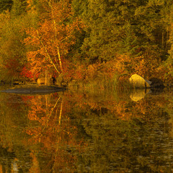 Similar image 8097571