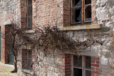 Similar image 8097572