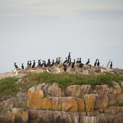 Similar image 8097596