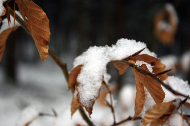 Similar image 8097605