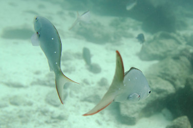 Similar image 8097615