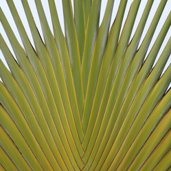 Similar image 8097637