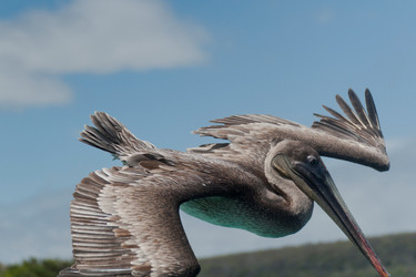 Similar image 8097639