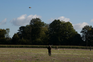 Similar image 8097640