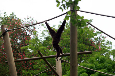 Similar image 8097646