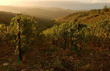 Similar image 8097650