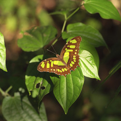 Similar image 8097652