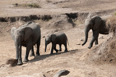 Similar image 8097664