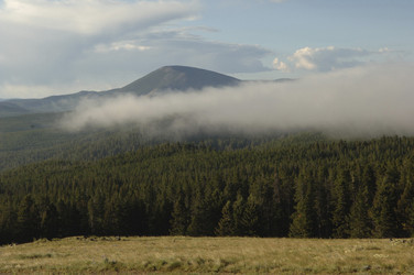 Similar image 8097668