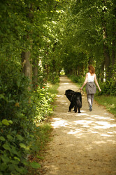 Similar image 8097670