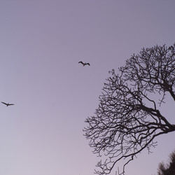 Similar image 8097690