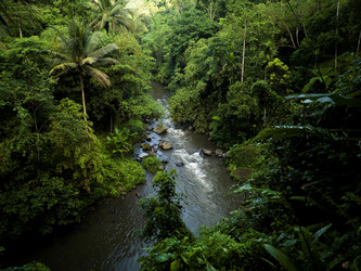 Similar image 8097692