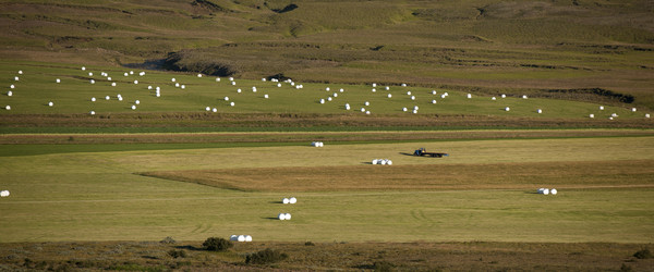 Similar image 8097703