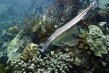 Similar image 8097709