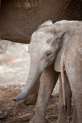 Similar image 8097718