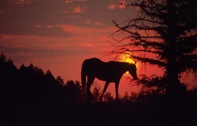 Similar image 8097726