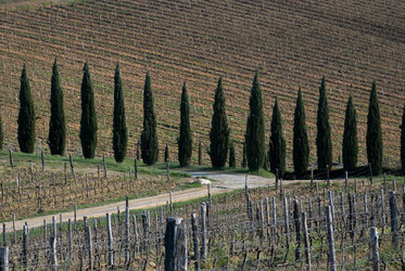 Similar image 8097739