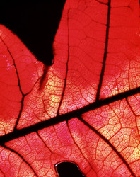 Similar image 8097741