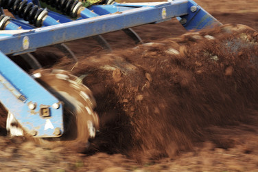 Similar image 8097742