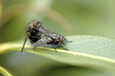 Similar image 8097749