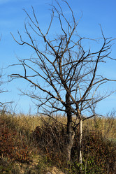 Similar image 8097750