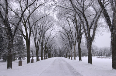 Similar image 8097751